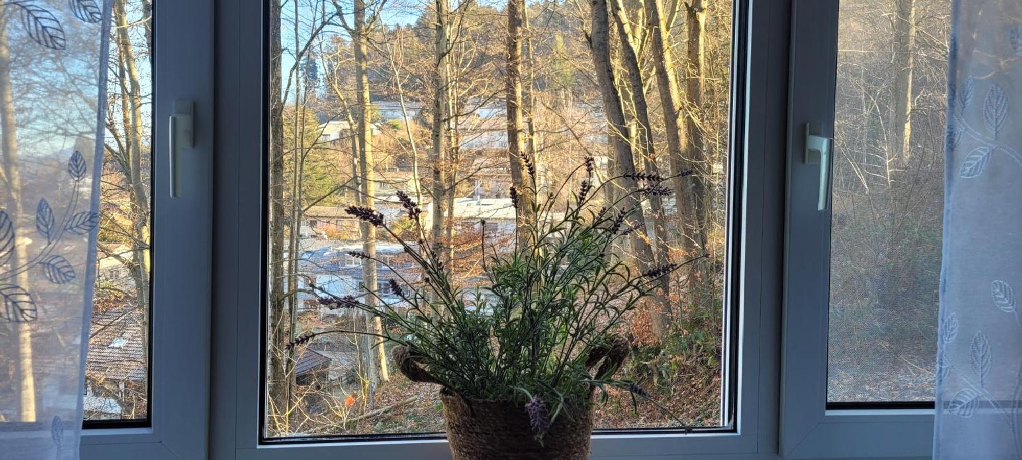 Apartamento Am Wald Waldkirch Exterior foto